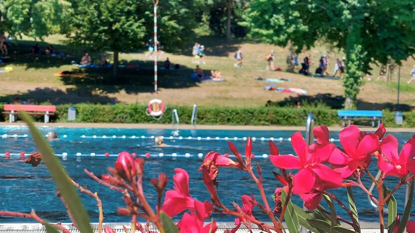 Schwimmerbecken, pinkfarbene Blumen im Vordergrund, Liegewiese mit Baumbestand im Hintergrund